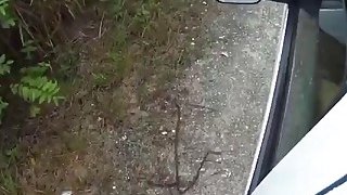 泡良达人 漂亮小姐姐，新人，身材极品，粉嘟嘟，沙发上抠逼爆操，精彩